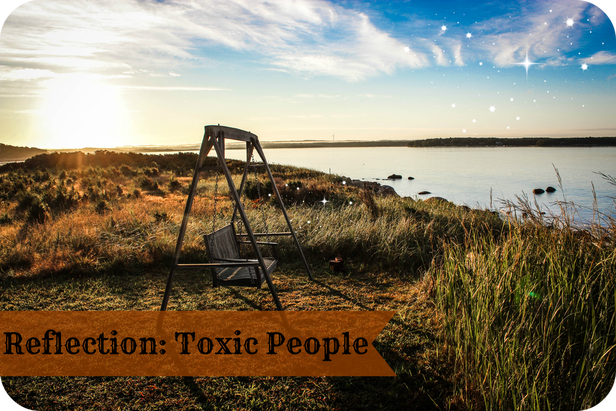 the toxic people in life and reflection