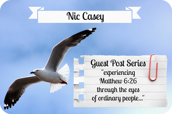 Nic Casey doing a guest post